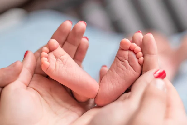 Pies de bebé en manos de madre — Foto de Stock