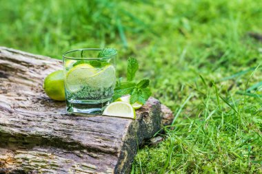 Bardak su nane ve limon ile