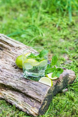 Bardak su nane ve limon ile