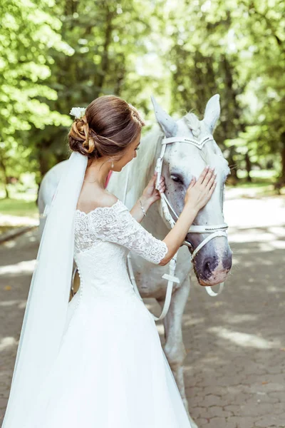 Mariée se tient près du cheval blanc — Photo
