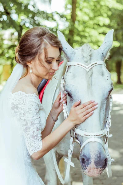 Mariée se tient près du cheval blanc — Photo