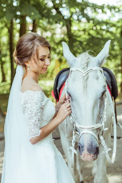 Noiva fica perto de cavalo branco — Fotografia de Stock