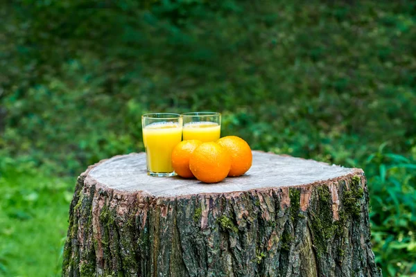 Sumo de laranja fresco com laranjas fruta ao ar livre — Fotografia de Stock