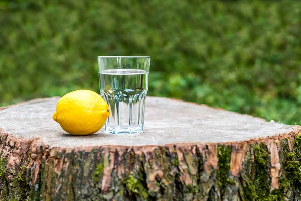 Лимон зі склянкою води — стокове фото