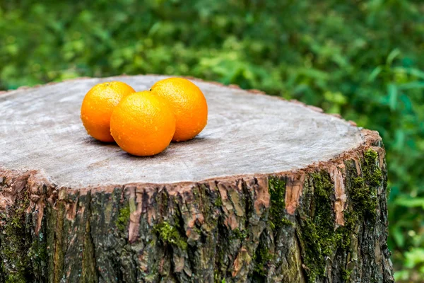 Jugo de naranja fresco con naranjas fruta al aire libre — Foto de stock