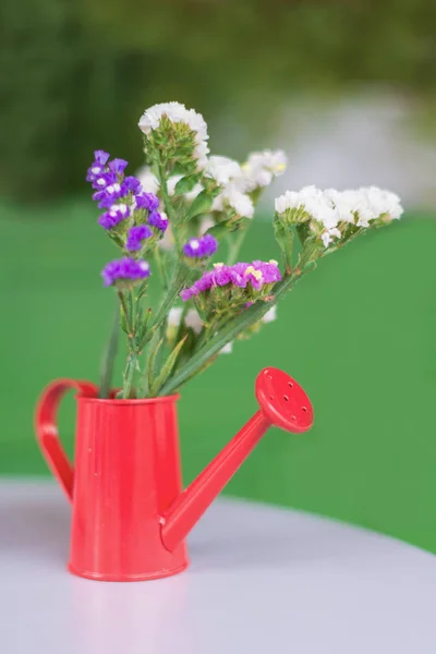 Μικρά λουλούδια σε ένα κόκκινο ποτιστήρι — Φωτογραφία Αρχείου
