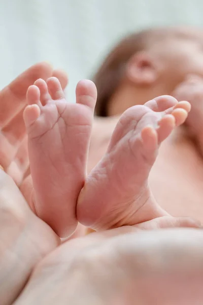 Pies de bebé en manos de madre — Foto de Stock