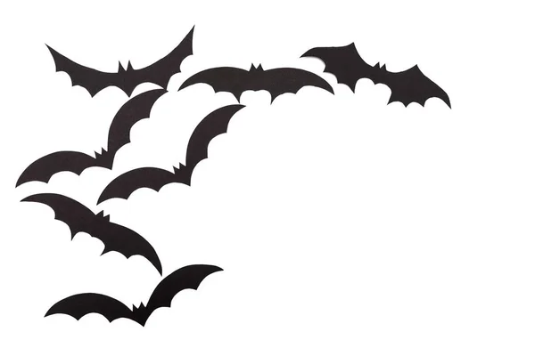 在白色孤立的挥发性蝙蝠用黑纸雕刻的剪影 — 图库照片