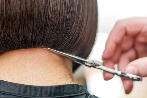 Hairdresser Cuts Hair Tips Woman Back View — Stock Photo, Image