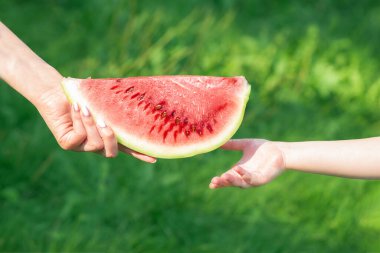 Kadın elinin kapağı, yeşil doğa arka planında bir çocuğun eline karpuz veriyor. Doğa konsepti.