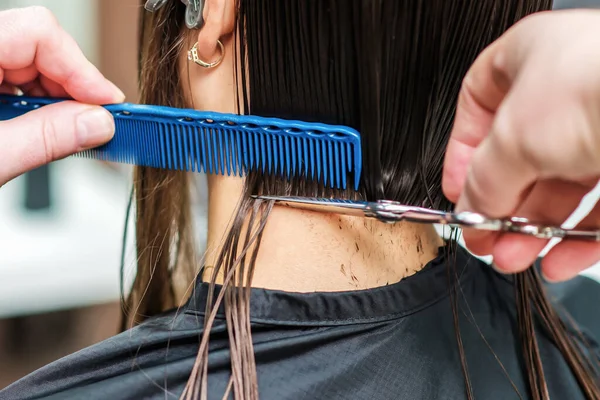 Estilista Profissional Está Cortando Cabelo Preto Mulher Salão Cabeleireiro Perto — Fotografia de Stock