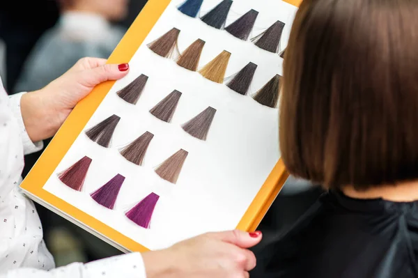 Women hands with a dye color catalog. Women hair color. Woman choosing hair color in dye catalog. Close up.