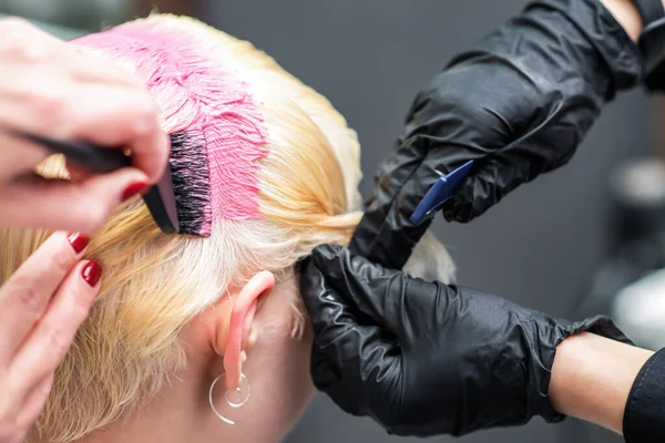 Profesjonalny Fryzjer Posiada Klienta Różowe Włosy Kolorowanki Bliska Fryzjer Zamknij — Zdjęcie stockowe