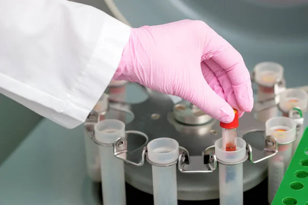 Doctor Puts Test Tube Blood Centrifuge Machine Medical Clinic Analysis — Stock Photo, Image