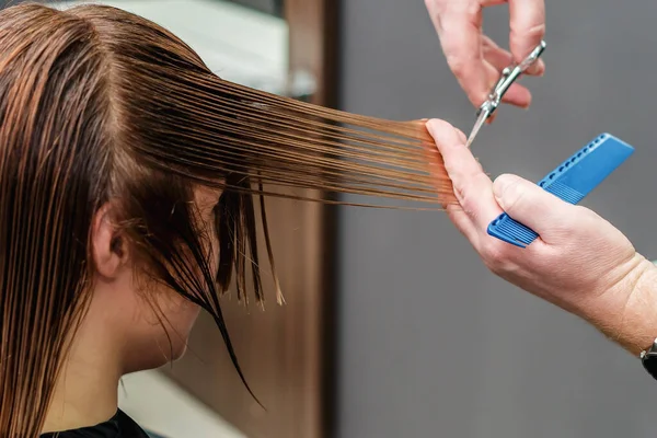 Jovem Mulher Cabeleireiro Mãos Com Tesoura Pente Corte Cabelo Longo — Fotografia de Stock