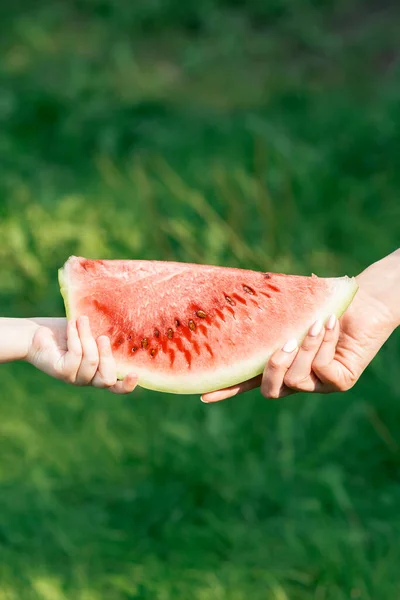 Close up of female\'s hand is taking piece of watermelon from a child\'s hand. Hand of woman takes a slice of watermelon from hand of child on green nature background close up.