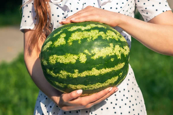 Melancia Inteira Fechar Mãos Jovem Mulher Fundo Natureza Verde — Fotografia de Stock