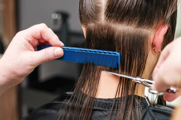 Hairdresser cutting hair of woman, close up, rear view.