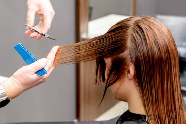 Kuaför elleri güzellik salonunda uzun saçlarını kesiyor..