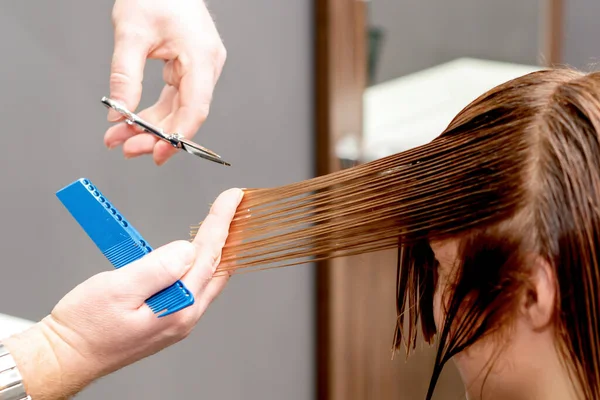 Mãos Cabeleireiro Cortam Cabelo Longo Mulher Salão Beleza — Fotografia de Stock