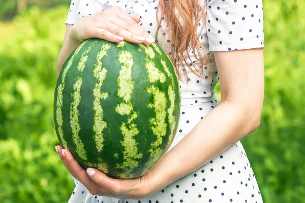 Celý Vodní Meloun Zblízka Rukou Mladé Ženy Zeleném Pozadí Přírody — Stock fotografie