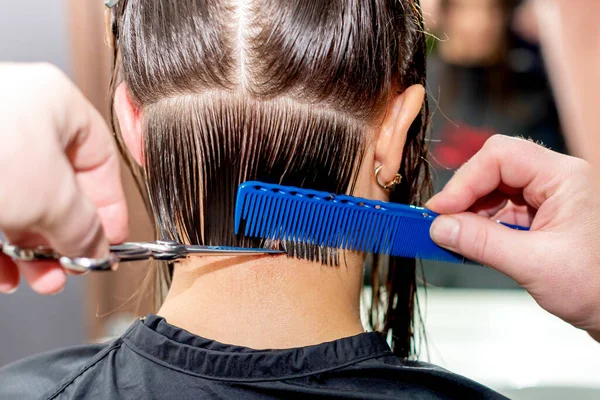 Mani Parrucchiere Tagliano Capelli Donna Primo Piano Vista Posteriore — Foto Stock