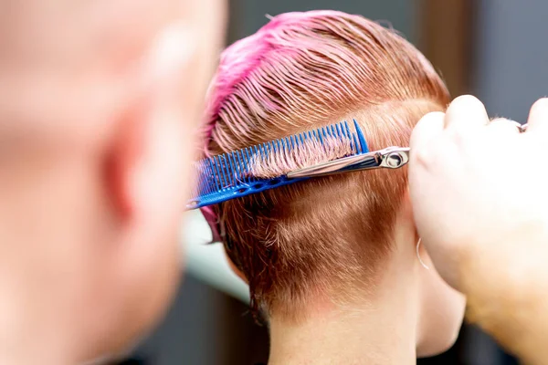 Visão Traseira Cabeleireiro Está Cortando Cabelo Rosa Mulher Close — Fotografia de Stock