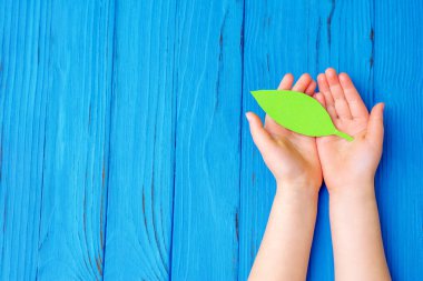 Tahta mavi arka planda, çocuğun ellerinde kağıt yeşili yaprağın en üst görüntüsü. Uzayı kopyala Çevre koruma kavramı.