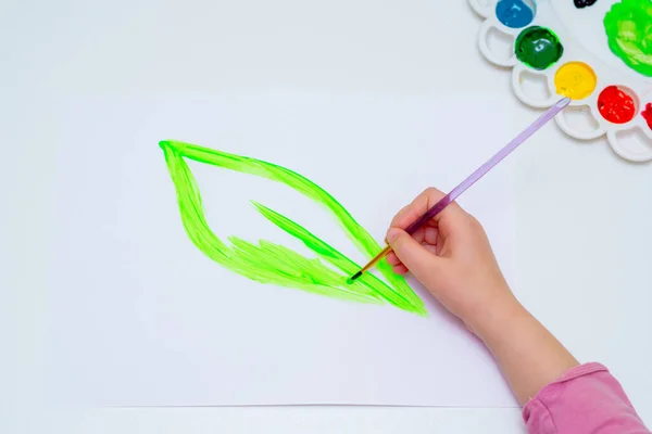 Top View Hand Child Drawing Green Leaf Brush Watercolors White — Stock Photo, Image