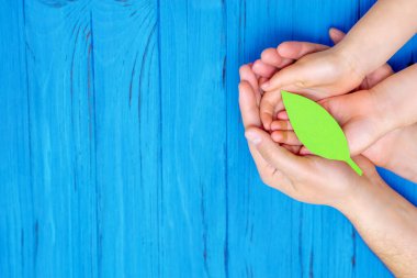 Çocuk ve babanın ellerinin ahşap mavi arka planda kağıt yeşil yaprak tutmasının en üst görüntüsü. Dünya Günü kavramı.