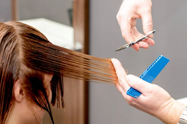 Mani Parrucchiere Che Tagliano Capelli Lunghi Giovane Donna Studio Hairdress — Foto Stock