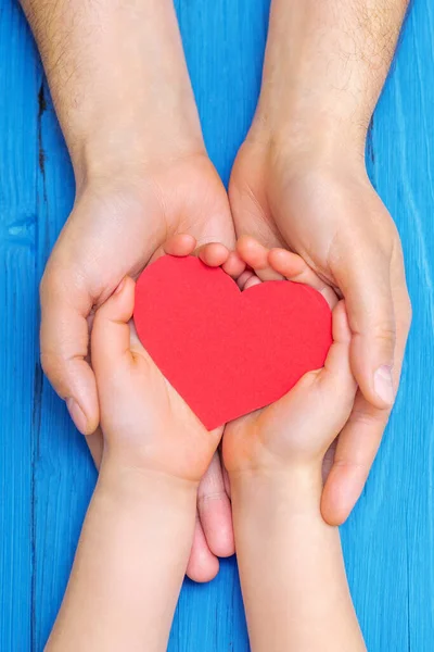 Close up of red heart in hands of adult and child above wooden blue background. Concept of Happy Father\'s Day and Family.