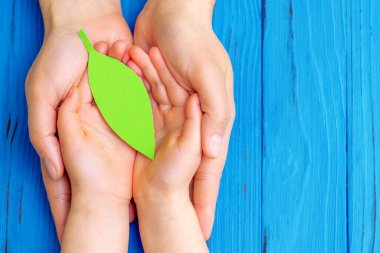 Yeşil yaprağın üst görüntüsü ahşap mavi arka plandaki kız ve erkeğin ellerinde. Dünyayı kurtar ve doğa gezegeni kavramını sev..