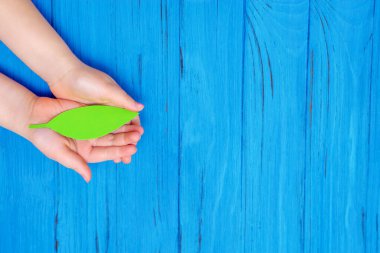 Ahşap mavi arka planda yeşil yaprak tutan çocuk elleri. Uzayı kopyala Çevre koruma kavramı ve Dünya Günü.