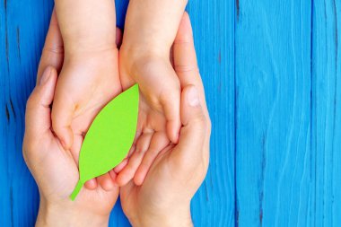 Erkek ve çocuk ellerinin tahta mavi arka planda kağıt yeşil yaprak tutuşu. Aile ve Dünya Günü kavramı. Boşluğu kopyala.