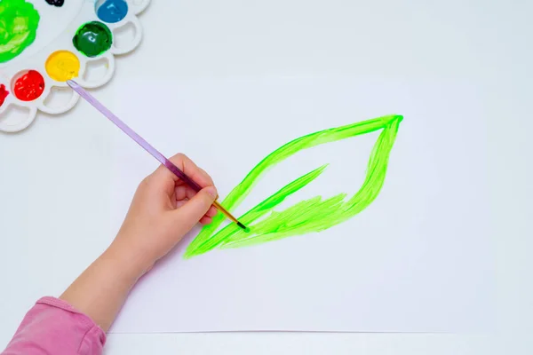 Vista Superior Del Niño Está Dibujando Hoja Verde Por Acuarelas —  Fotos de Stock