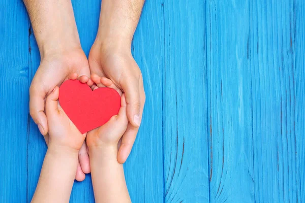 Top view of red heart in hands of man and girl above wooden blue background. Family and Happy Father\'s Day concept. Copy space.