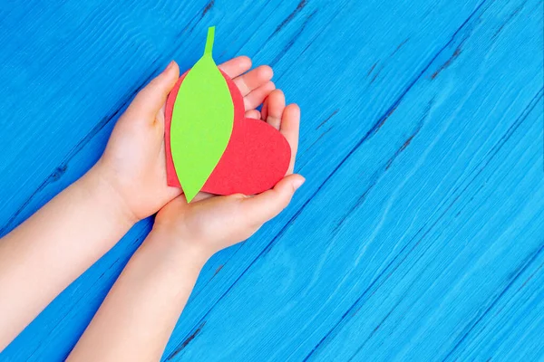 Vue Dessus Feuille Verte Avec Coeur Rouge Dans Les Mains — Photo