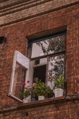 Eski bir taş evde Euripean pencereleri