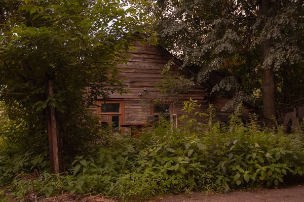 Ivy Een Vintage Baksteen Huis — Stockfoto