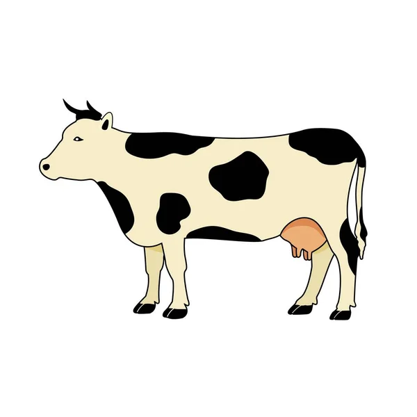 奶牛的色彩轮廓 白色背景上的平面矢量插图 — 图库矢量图片