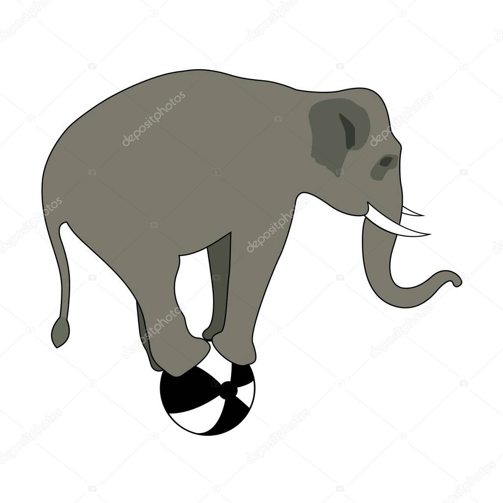 Gray elephant on the ball. Circus trick with an animal. Flat vector illustration on white background.