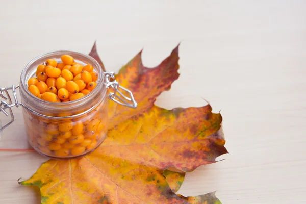 Bagas do mar-buckthorn e folhas de outono, medicina alternativa — Fotografia de Stock