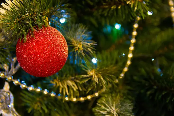 Μία κόκκινη Χριστουγεννιάτικη μπάλα κρέμεται σε δέντρο, όπως το υπόστρωμα και το φόντο — Φωτογραφία Αρχείου