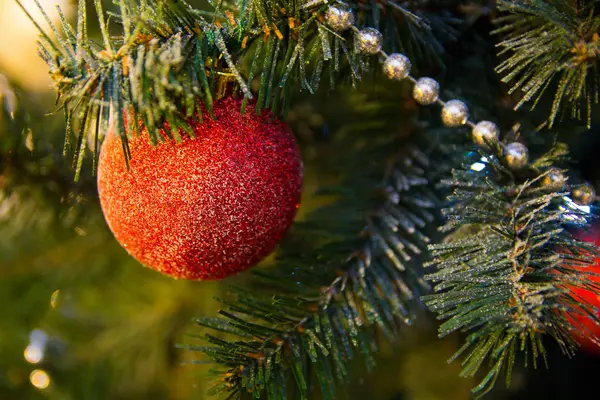 Single red Christmas ball hanging on  tree, as the substrate and background — Stock Photo, Image