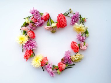 Beyaz arka plandaki güllerin iskeleti. Düz yatıyordu.