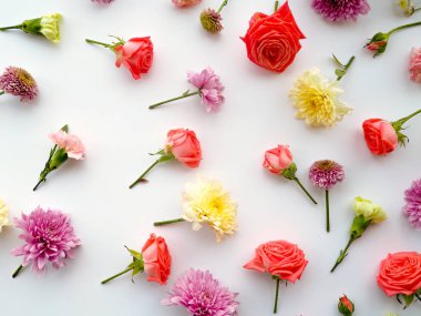 Çiçek kompozisyon. Beyaz arka plan üzerinde kurutulmuş gül çiçeklerin çerçeve yaptı. Düz yatıyordu, en iyi görünümü.