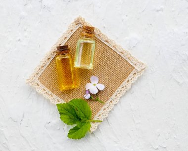 Esans taze bitki adaçayı, düz Kur'a ile şişe mavi ahşap açayım. Alternatif Tıp, sağlık, vitamin