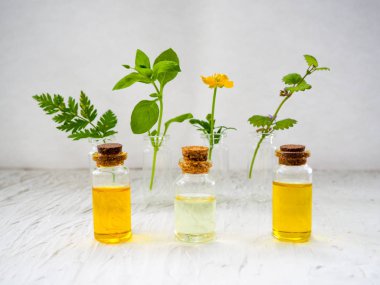 Esans taze bitki adaçayı, düz Kur'a ile şişe mavi ahşap açayım. Alternatif Tıp, sağlık, vitamin