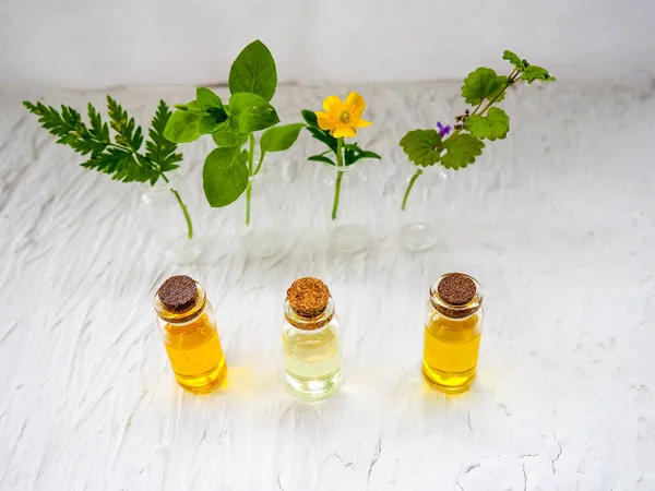 Bottle Essential Oil Fresh Herbal Sage Setup Flat Lay Blue — Stock Photo, Image